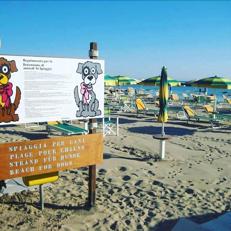 Hotel Alsen Rimini Exterior photo
